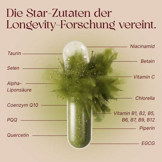 CellComplex - Young&Co